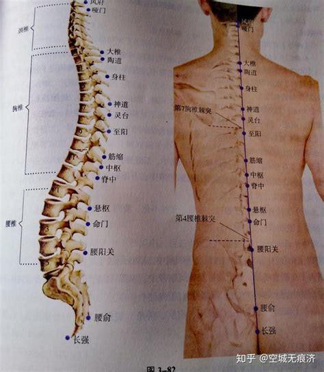 穴的种类